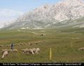 Ultramarathon_GranSasso_072.jpg